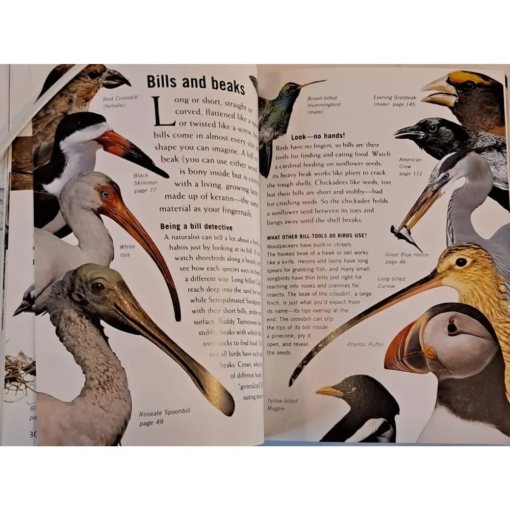Nat'l Audubon Soc. 1st Field Guide: Birds by S. Weidensaul (2002 Scholastic PB)